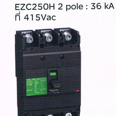 Schneider Square D เซอร์กิตเบรคเกอร์ สวิตซ์ตัดตอนอัตโนมัติ (Molded Case Citcuit Breaker MCCB) 250Amp frame 2Pole