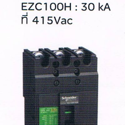 Schneider Square D เซอร์กิตเบรคเกอร์ สวิตซ์ตัดตอนอัตโนมัติ (Molded Case Citcuit Breaker MCCB) 250Amp frame 2Pole