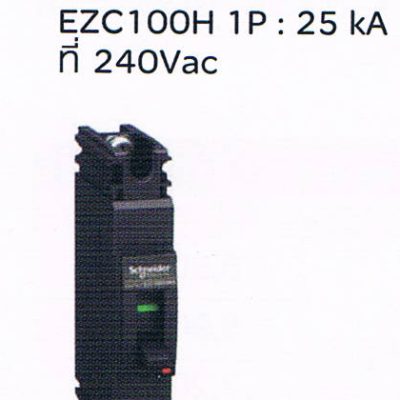 Schneider Square D เซอร์กิตเบรคเกอร์ สวิตซ์ตัดตอนอัตโนมัติ (Molded Case Citcuit Breaker MCCB) 100Amp frame 1Pole