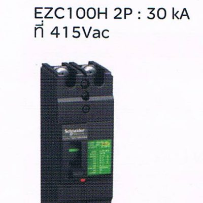 Schneider Square D เซอร์กิตเบรคเกอร์ สวิตซ์ตัดตอนอัตโนมัติ (Molded Case Citcuit Breaker MCCB) 100Amp frame 2Pole
