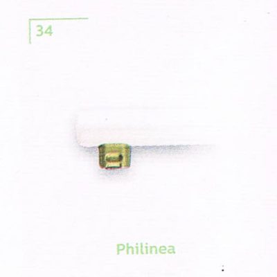 หลอดไฟแสงสีออน Philinea รุ่น Philips ชนิดหลอดไส้ (Incandescent Lamp)